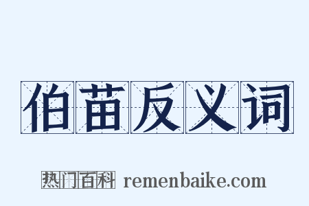 伯苗反义词是什么意思的图片